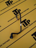 20140723_092011_dsc00525